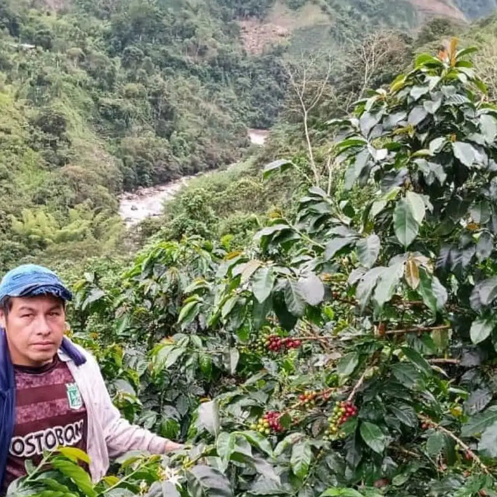 Amigo, Bio, 100% Arabica, Kolumbien