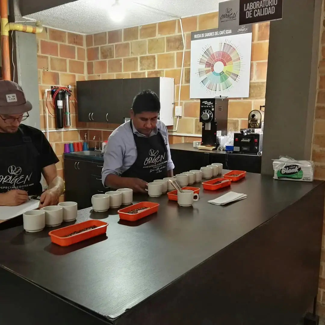 Amigo, Bio, 100% Arabica, Kolumbien