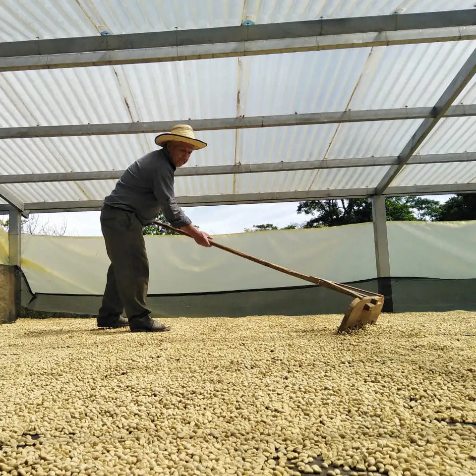 Amigo, Bio, 100% Arabica, Kolumbien