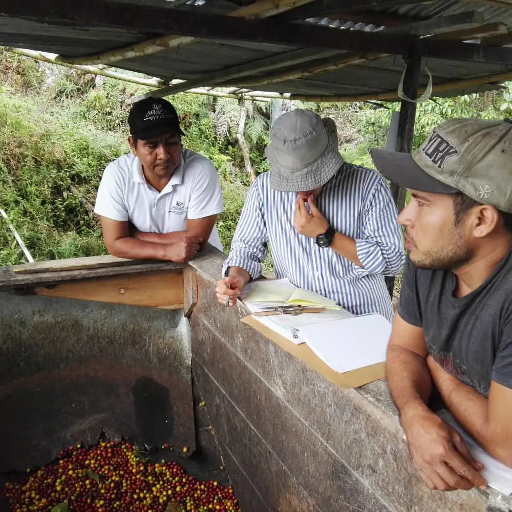 Amigo, Bio, 100% Arabica, Kolumbien